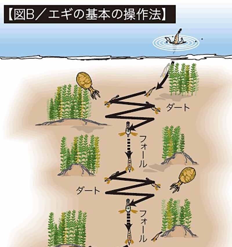 エギングの基本アクション