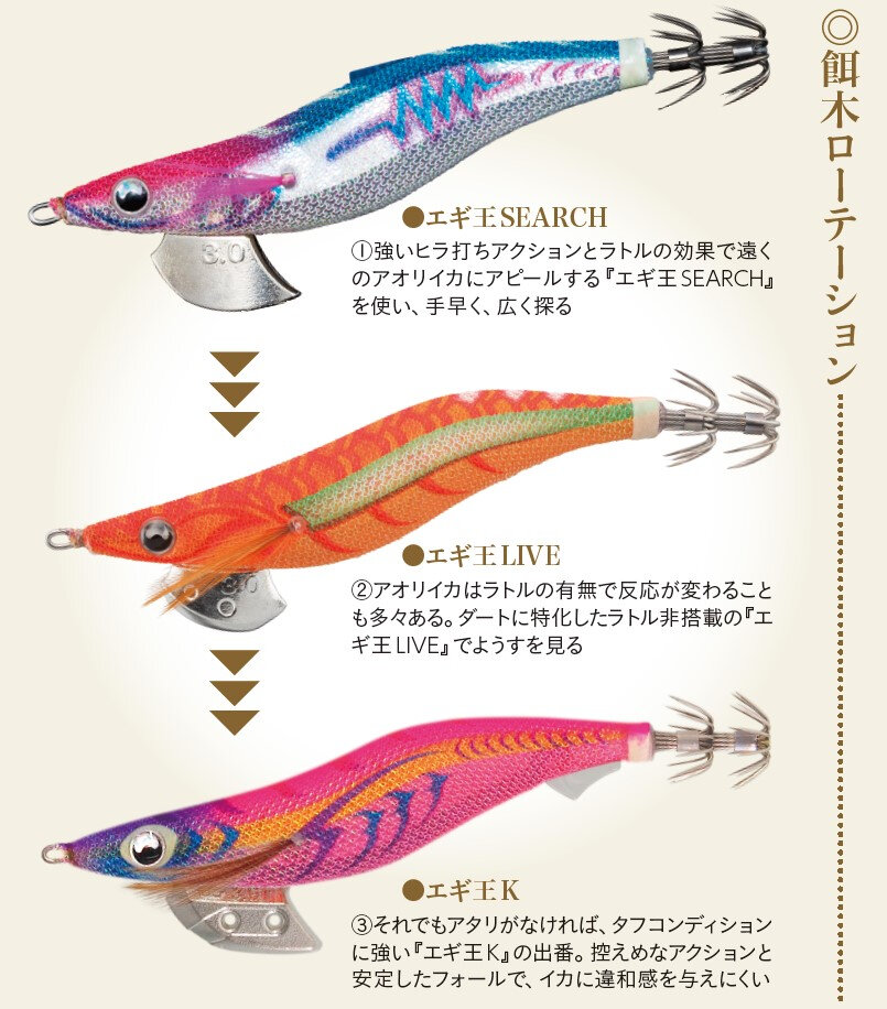 エギ王ローテーション