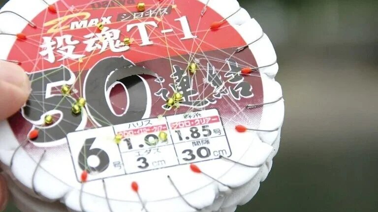キスの50連仕掛け
