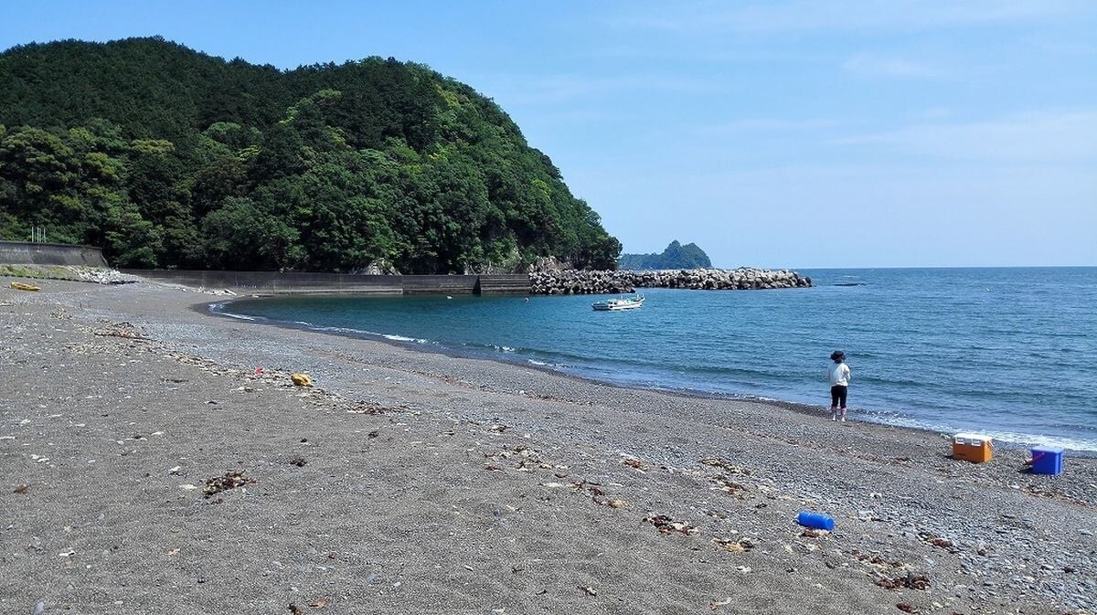 シロギスの釣り場