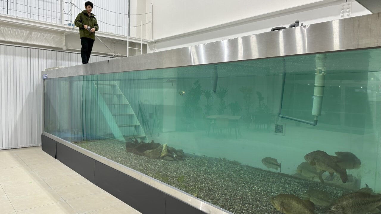 ジャッカル本社の水槽