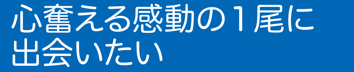 スクリーンショット (102)