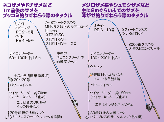 入門 オカッパリ サメ釣り指南 後編 全国おすすめ釣り場