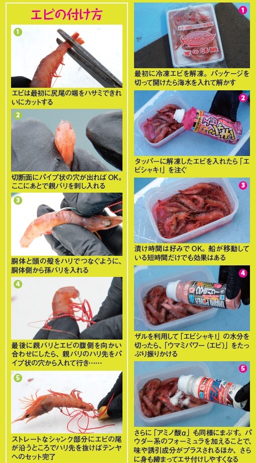 エビの付け方と締め方の手順