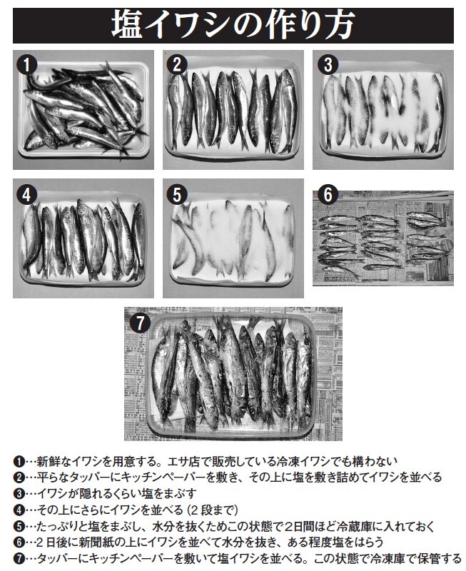 塩イワシの作り方