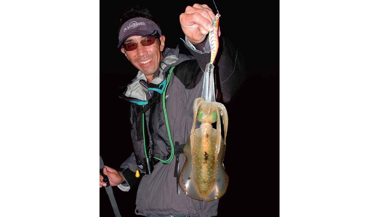 マズメに釣れたアオリイカ