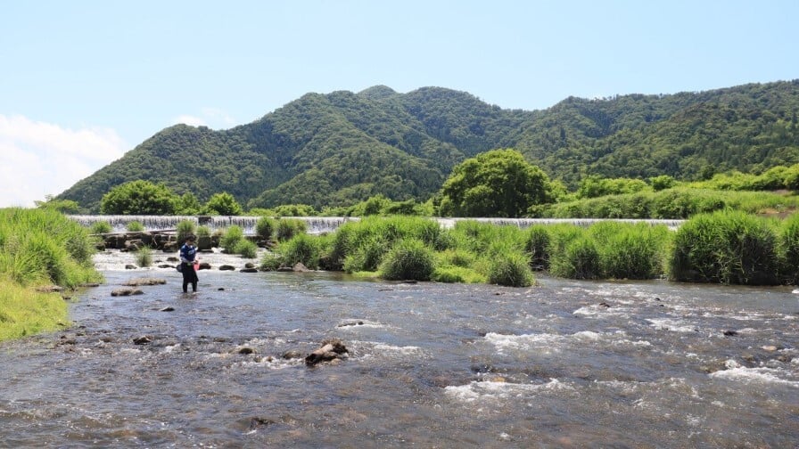 南川-1