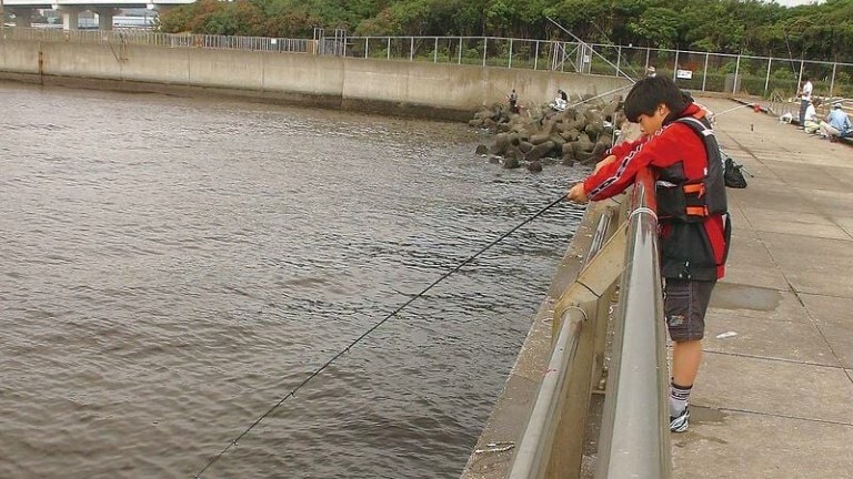 堤防際を探り釣り