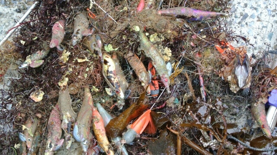 根掛かりなどによって海中に残置される釣りイト