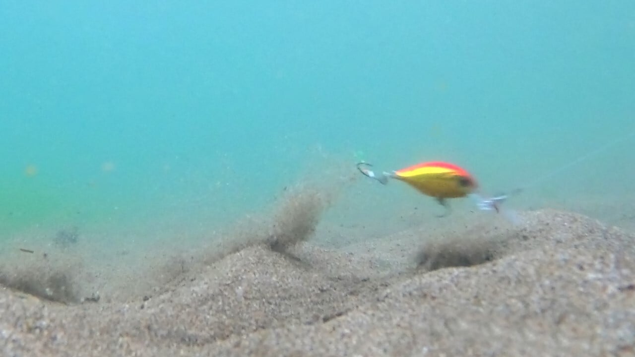 水中でのハゼクラの動き2