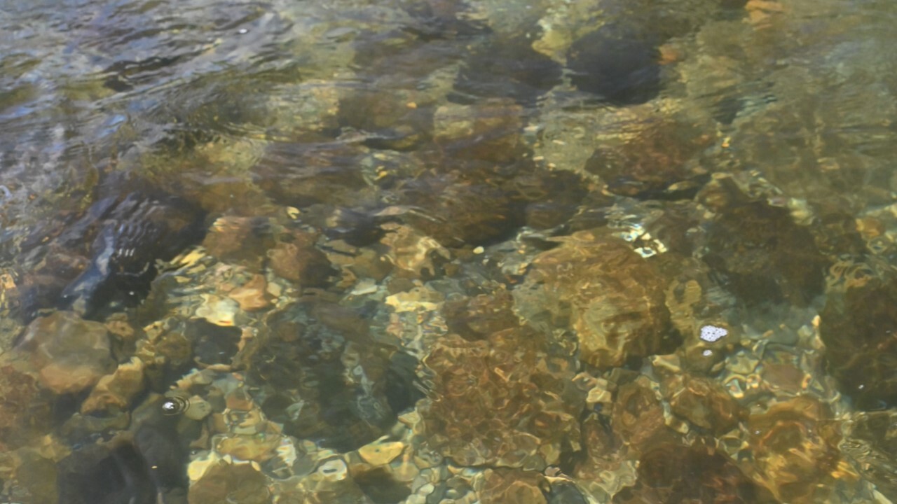水中の石