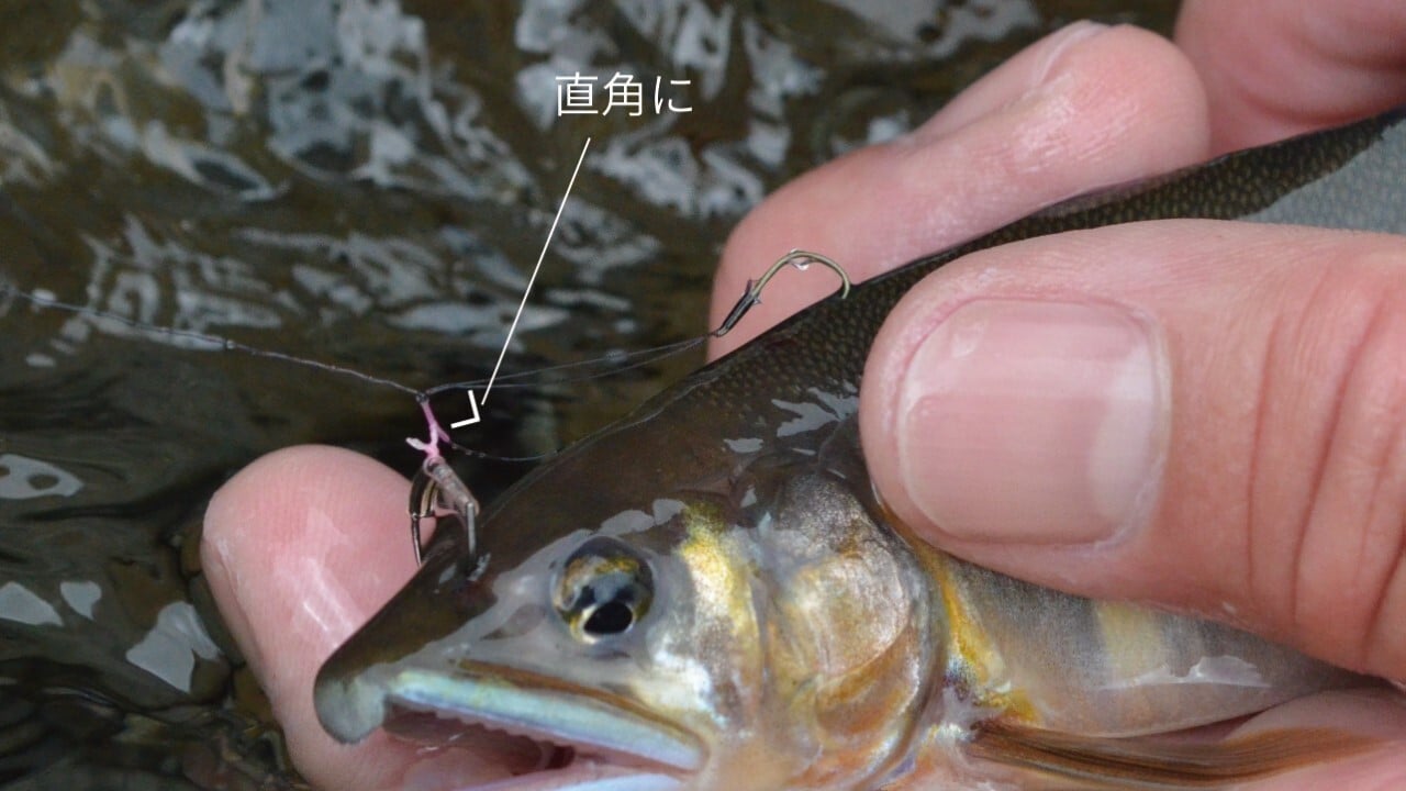 背バリ