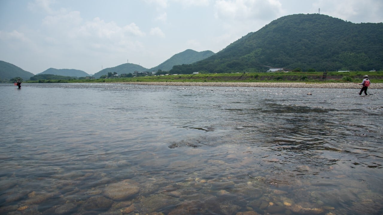 長良川