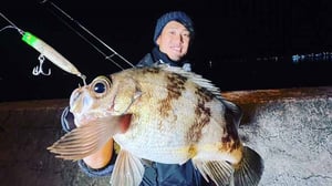 【メバリング入門】名手が教える釣り方の基本！プラグとジグ単の使い分けがカギ