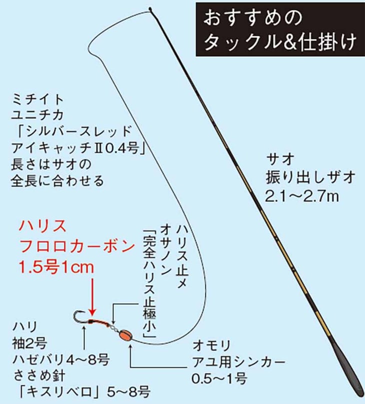 ハゼ釣り、タックル