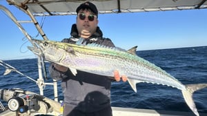 ルアーパラダイス九州TV　「福岡県・糸島沖のサワラゲーム」3月21日（土）放送！