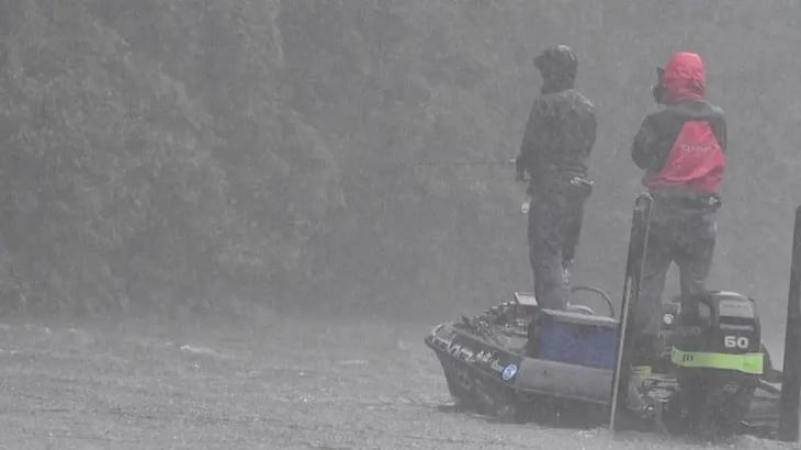 雨