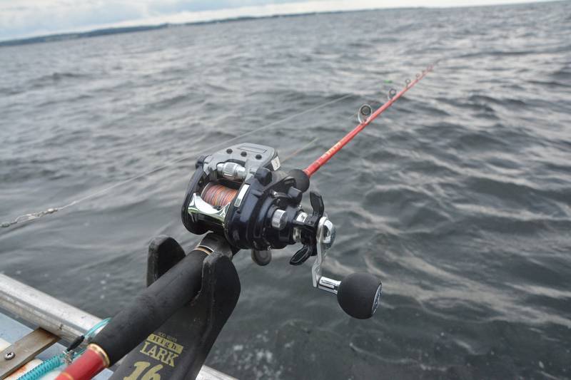 アマダイ釣り／シンプルな仕掛けでビギナーにも | 魚種別釣りガイド