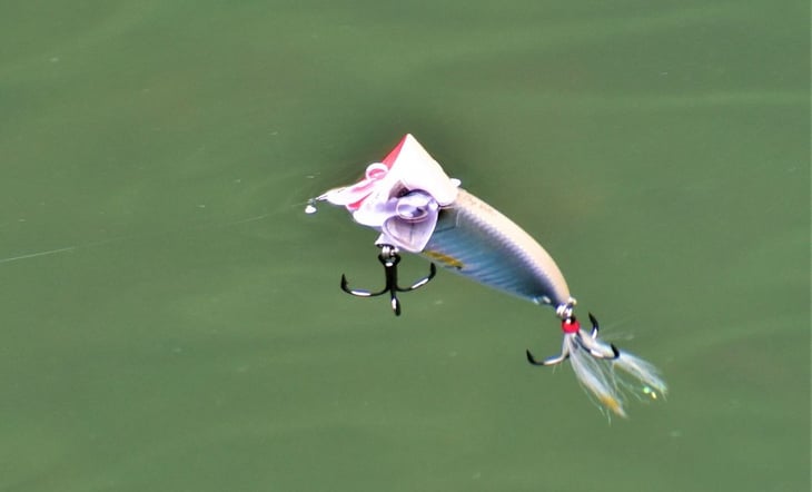バス釣り用ポッパー タックル 使用法解説 おすすめポッパー浮き姿勢カタログ選 魚種別釣りガイド