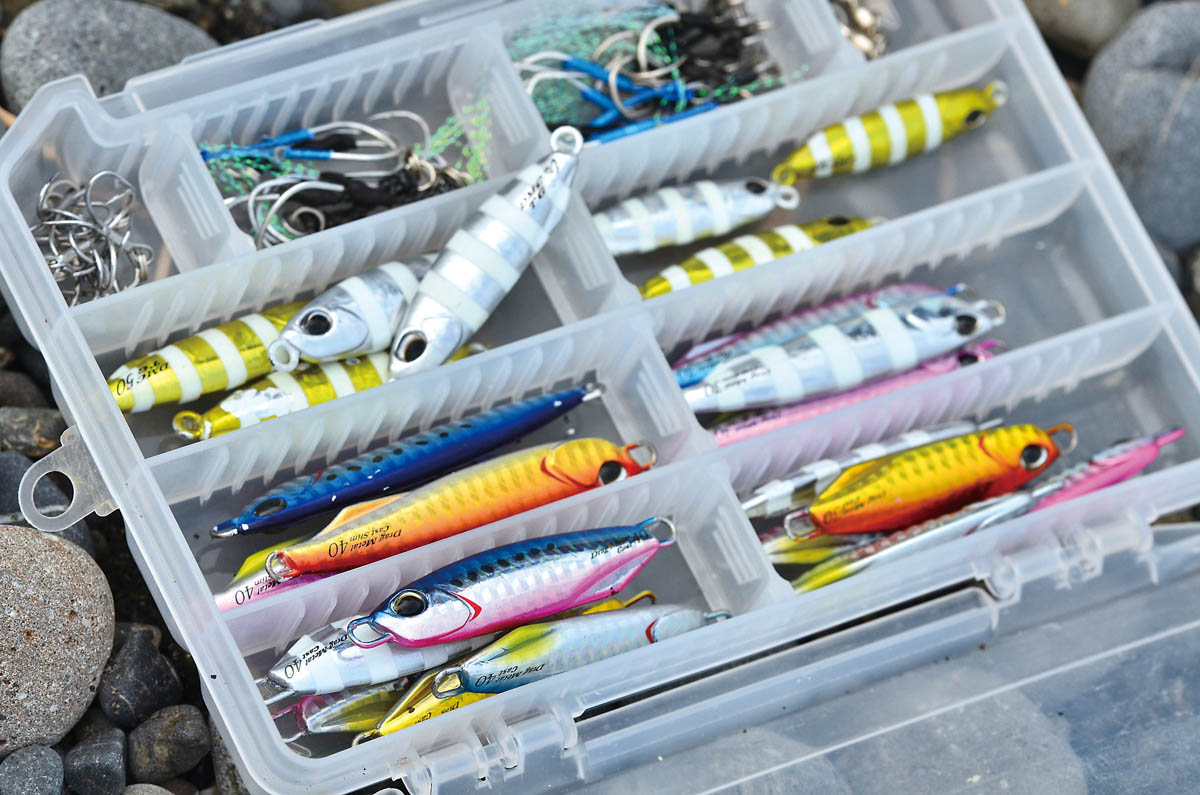 サーフのショアジギング入門！ 回遊をねらえ！ 前編 | 魚種別