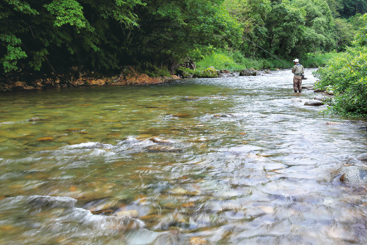 ▽希少 山形県の渓流 県北編 釣り場 東京起点・日帰り1泊で楽しめる