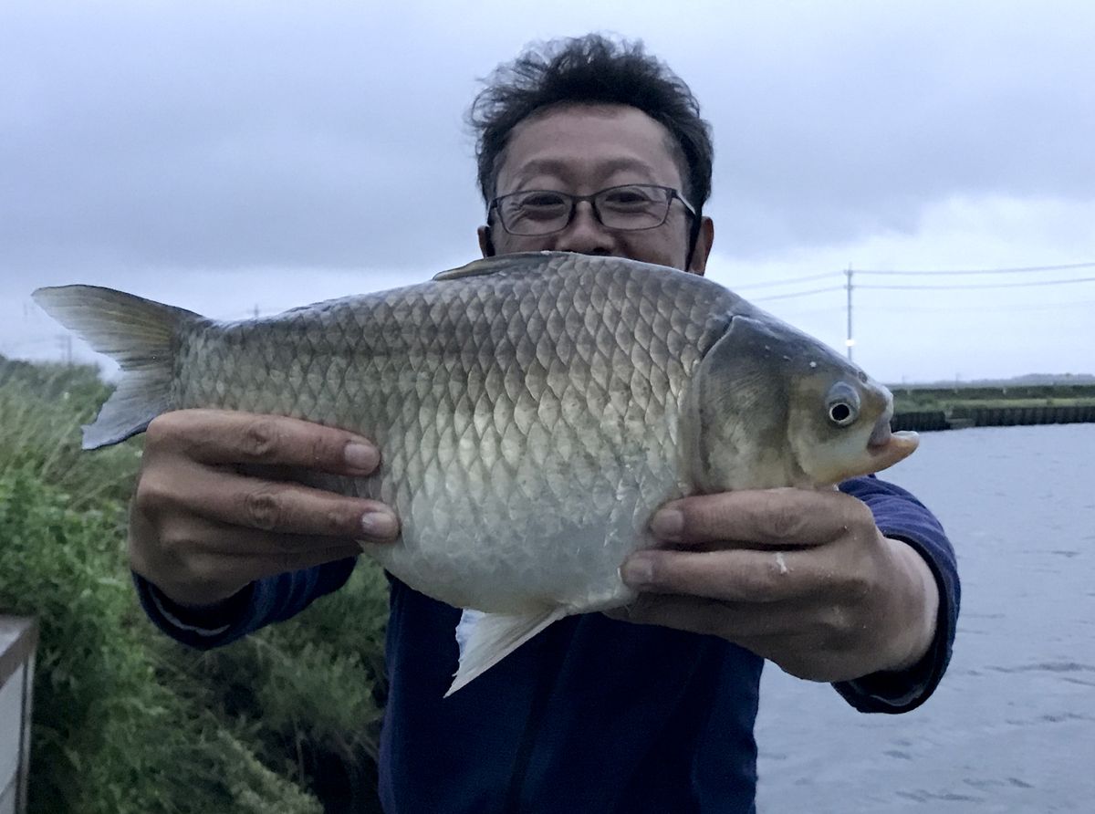 2022新春・今年はどうなる？ ヘラブナ編『ボーバー』編集者が語る