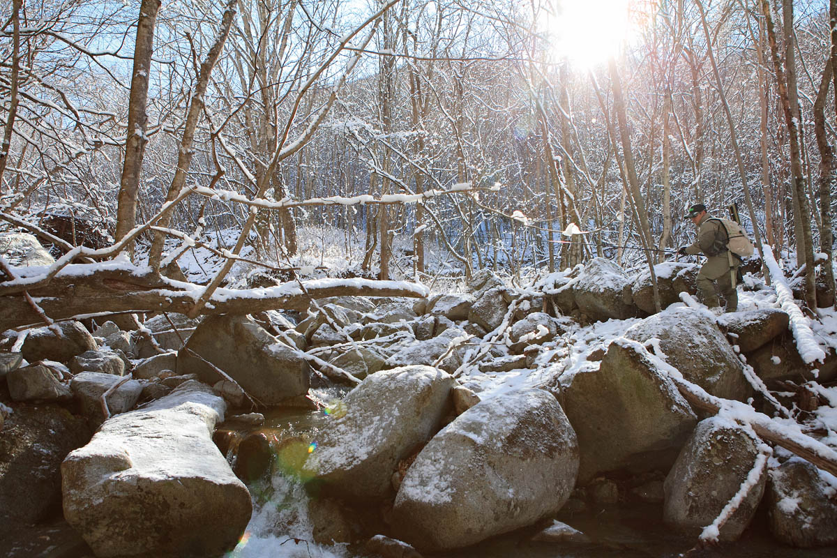 ヤマメやイワナが潜む渓流の穴場スポットを探せ！ 山梨県／桂川支流