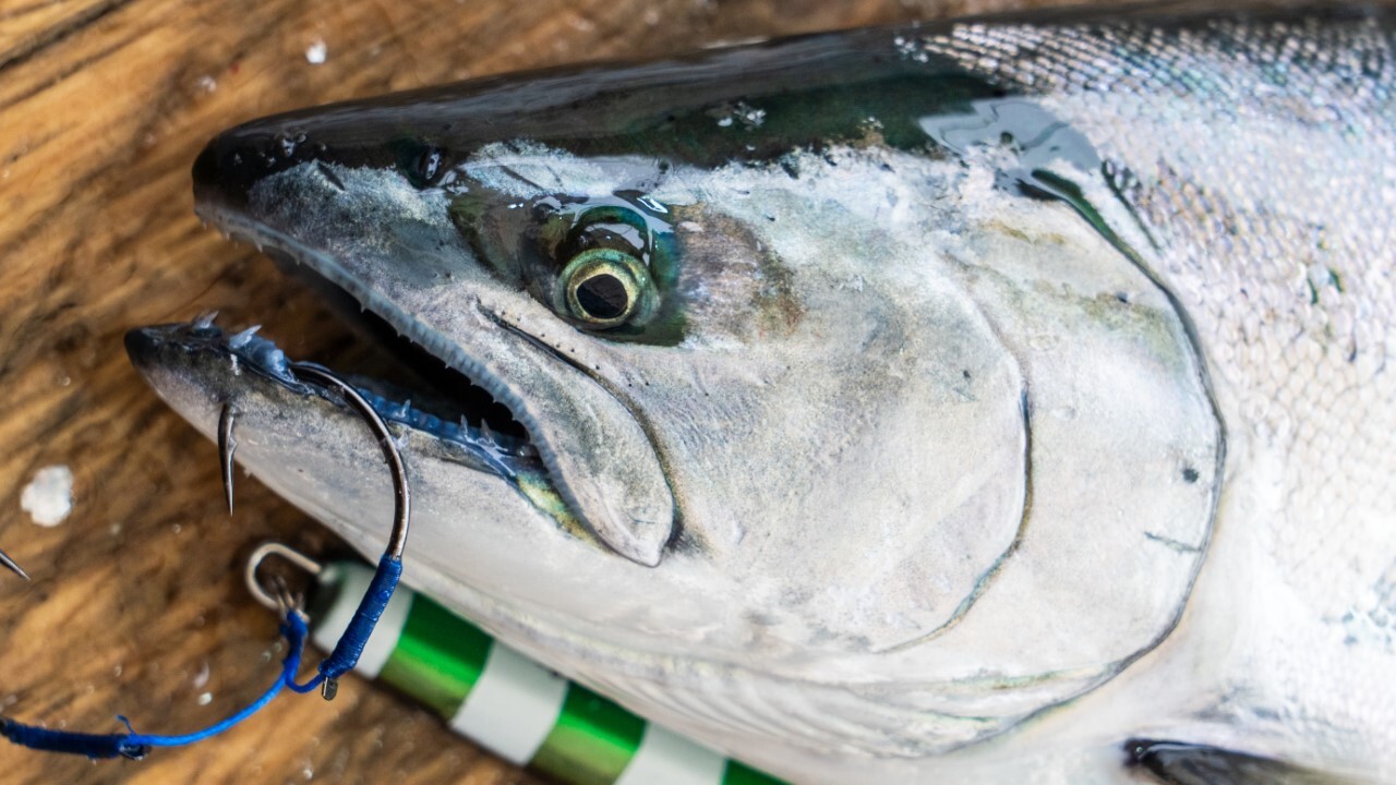 024-025_04r (カスタム)