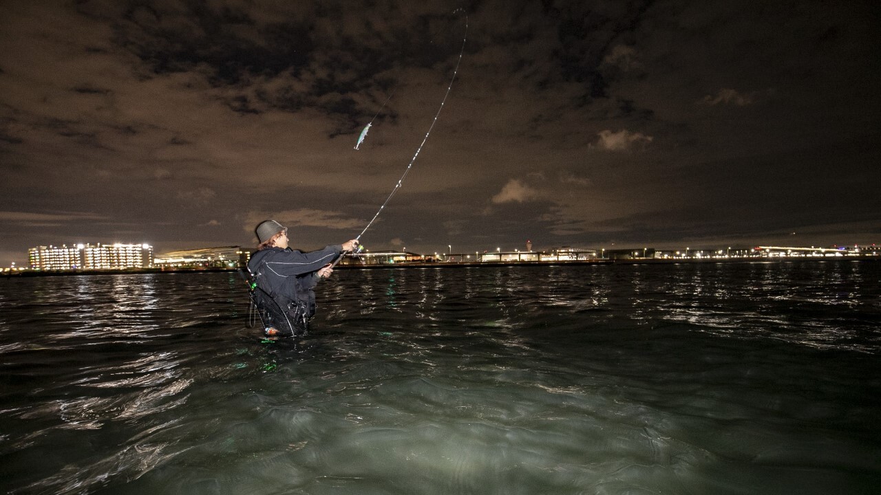 シャローでのシーバス釣りの風景