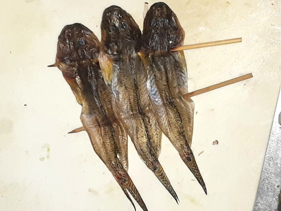 一夜干しにしたハゼ