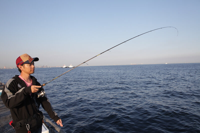 22年 アジングロッドおすすめランキング選 人気 評判 魚種別釣りガイド