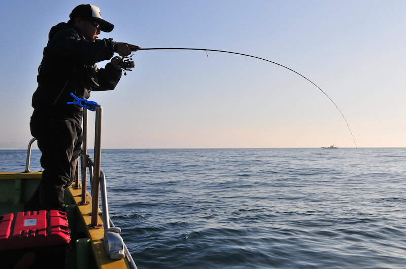 ティップランロッドおすすめ人気ランキング19選【2021年最新】 | 魚種別釣りガイド