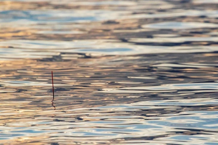 年11月 沼津千本浜 大らかに楽しむクロダイ渚釣り 全国おすすめ釣り場