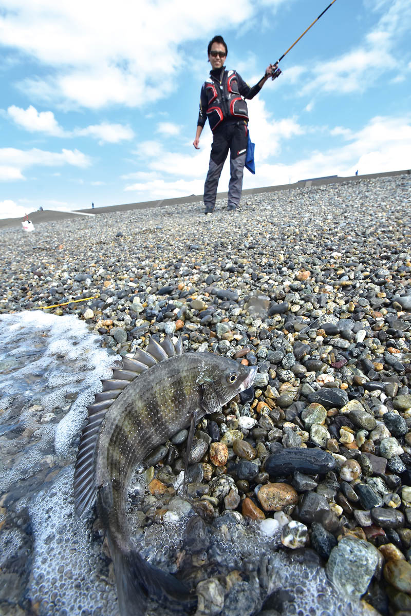 サーフのウキフカセ入門！ 砂利浜で渚のクロダイ釣り 後編 | つり人