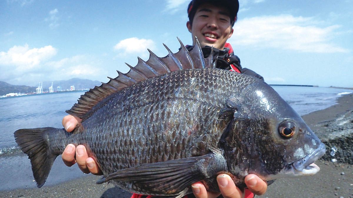 サーフのウキフカセ入門！ 砂利浜で渚のクロダイ釣り 後編 | つり人