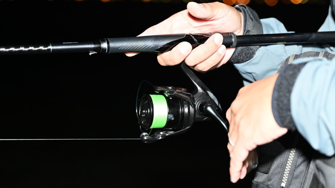 25エクスセンス