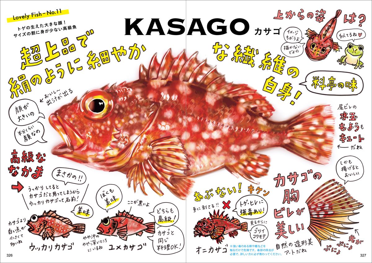 お魚イラストレシピ大百科 一生幸せになれる料理１４７ 大垣友紀