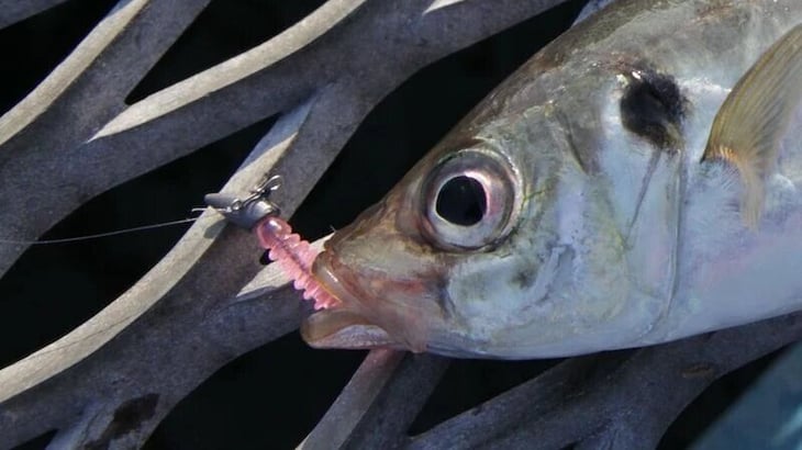 ダートに向いたジグヘッド