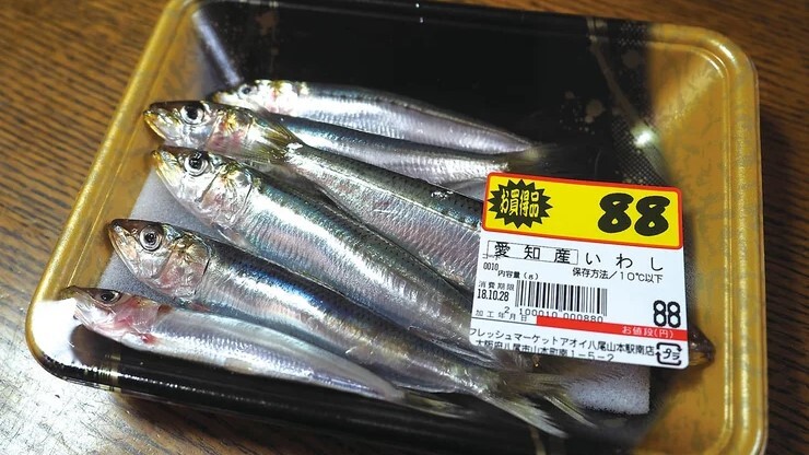 生のイワシ