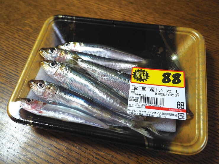 塩イワシでねらうマゴチ その2 最終回 全国おすすめ釣り場 塩イワシでねらうマゴチ その2 最終回 全国おすすめ釣り場
