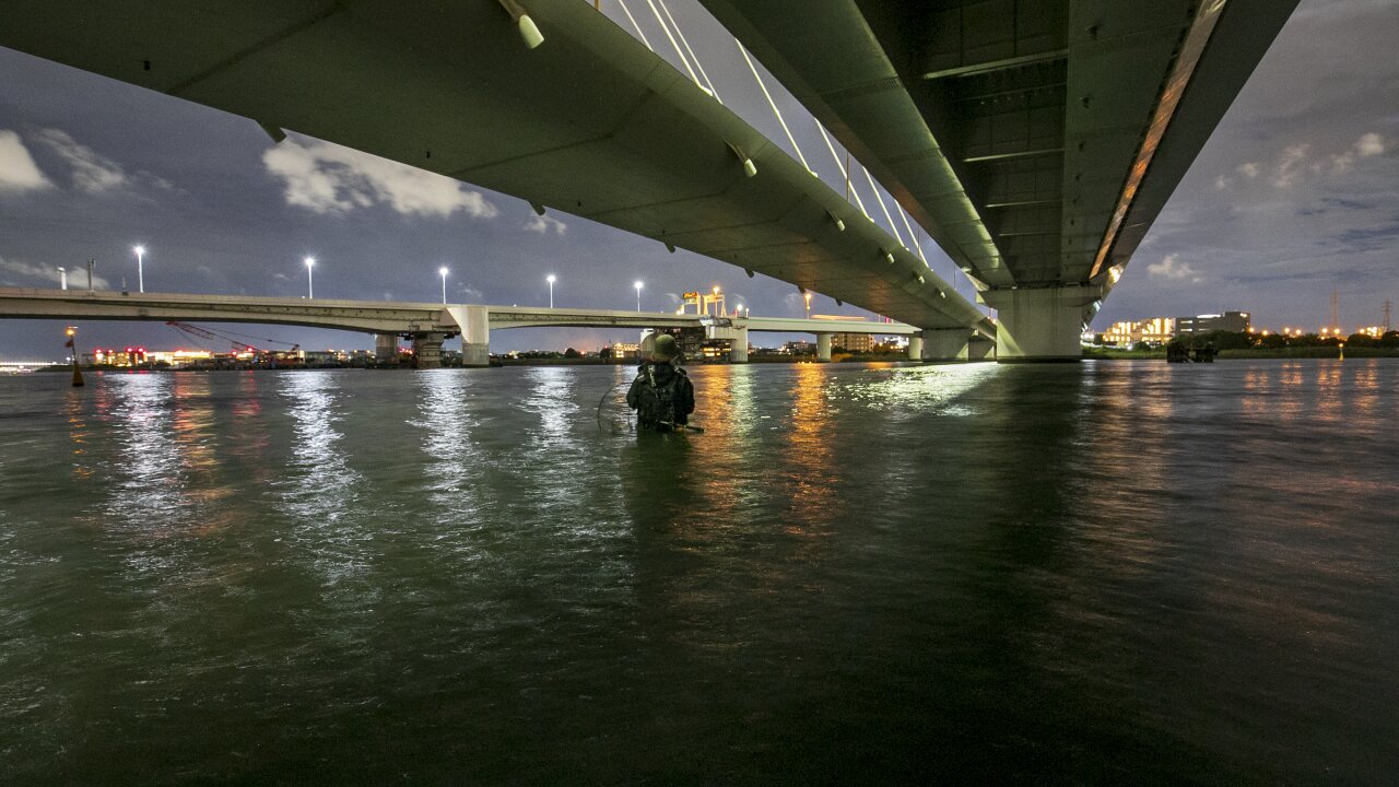 橋脚でのシーバス釣りの風景