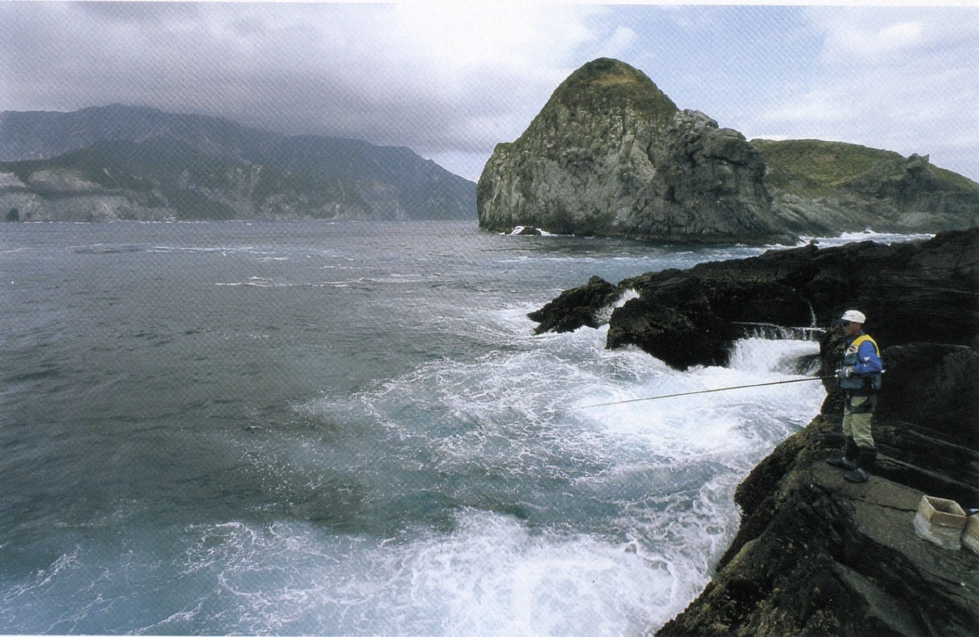 04 (1)-1