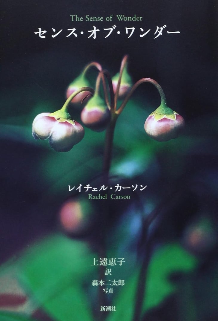 04-2-Apr-22-2026-04-42-58-7044-AM