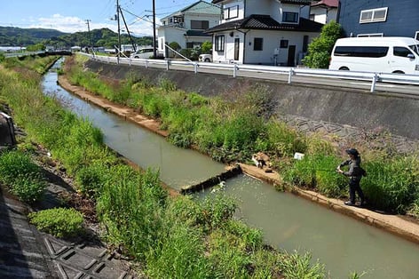 ナマズの釣り場