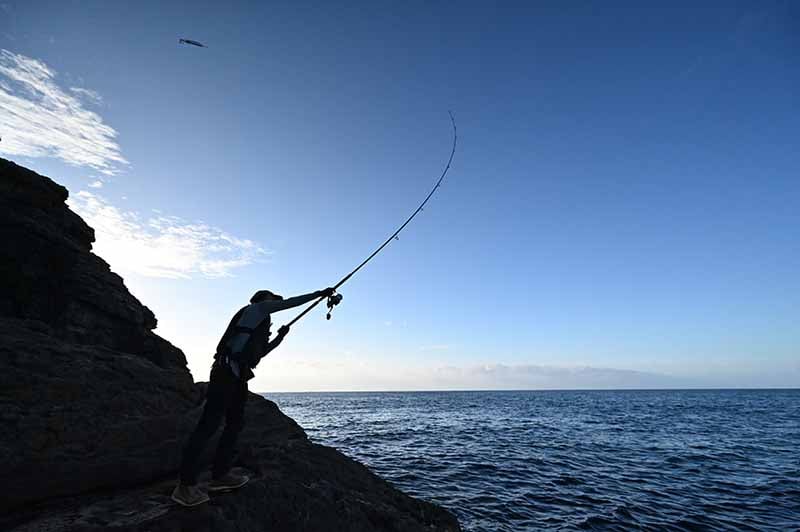 釣り竿(決まりました) 苦い