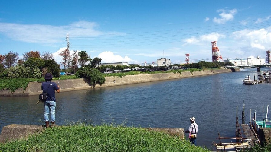 ちょい投げハゼ釣りの様子