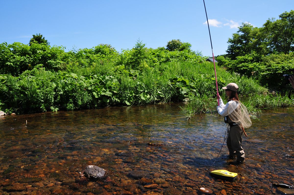 北海道・朱太川の鮎釣り／札幌から近くビギナーも釣りやすい 後編