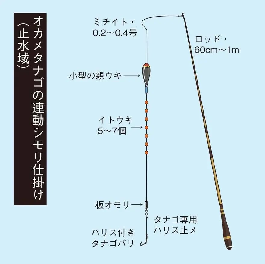 タナゴ釣りの仕掛け図