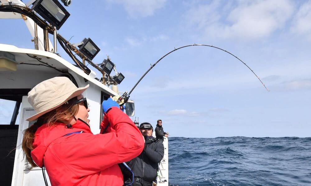 22年最新タイラバロッドおすすめランキング17選 選び方も解説 魚種別釣りガイド