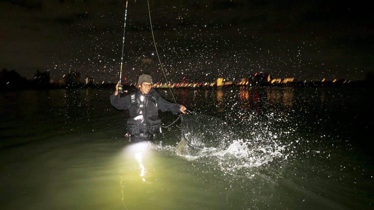 取材でのヒットシーン